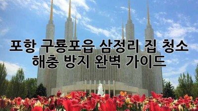 포항 구룡포읍 삼정리 집 청소 & 해충 방지 완벽 가이드