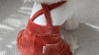 댕댕이 멜빵 올인원: 득템 후기 & 꿀팁 대방출! 🤩